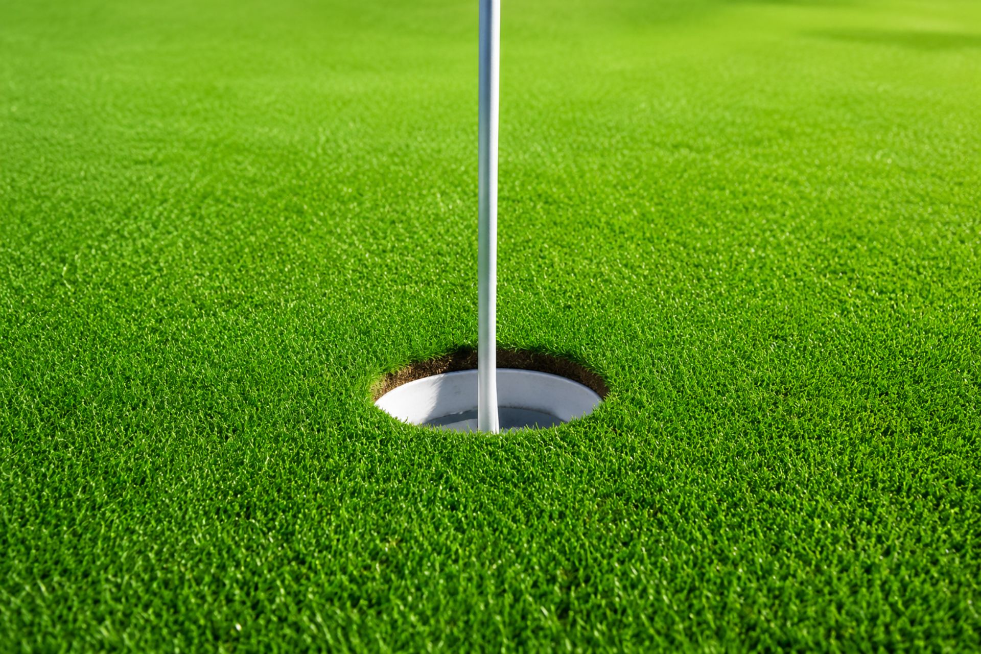 Custom artificial turf golf putting green with flag and cup in a residential landscape.